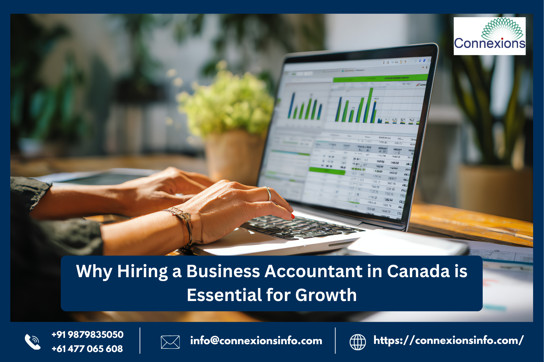 Business Accountant